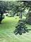 2S181 State Route 59, Warrenville, IL 60555