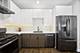 1600 N New England Unit 4, Chicago, IL 60707