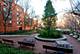 1169 S Plymouth Unit 406, Chicago, IL 60605