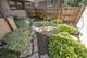 710 Cornelia, Joliet, IL 60435