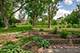 9S339 Cumnor, Downers Grove, IL 60516