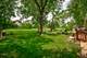 9S339 Cumnor, Downers Grove, IL 60516