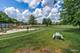 1703 Lakecliffe Unit D, Wheaton, IL 60189