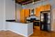 1040 W Adams Unit 257, Chicago, IL 60607