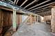 7305 S Harvard, Chicago, IL 60621