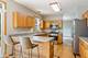 13141 S Cinnamon, Plainfield, IL 60585