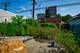 1541 N Maplewood, Chicago, IL 60622