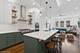 2817 N Christiana, Chicago, IL 60618