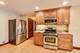 1634 S Cumberland, Park Ridge, IL 60068