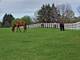 36537 N Fox Hill, Wadsworth, IL 60083