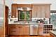 890 Windsor, Highland Park, IL 60035