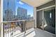 1250 S Michigan Unit 1110, Chicago, IL 60605