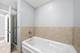 1250 S Michigan Unit 1110, Chicago, IL 60605