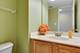 911 Waterford, Elk Grove Village, IL 60007