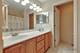 911 Waterford, Elk Grove Village, IL 60007