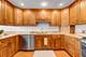 10842 S Sacramento, Chicago, IL 60655