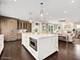 724 S Madison, Hinsdale, IL 60521