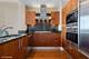 401 N Wabash Unit 64C, Chicago, IL 60611