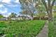 8107 S Princeton, Chicago, IL 60620