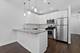 1645 W 17th Unit 2, Chicago, IL 60608