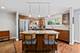 1824 Wildberry, Glenview, IL 60025