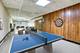 1310 Vinewood, Willow Springs, IL 60480