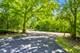 7900 W 127th, Palos Park, IL 60464