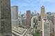 132 E Delaware Unit 5101, Chicago, IL 60611