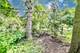 653 Blackstone, Highland Park, IL 60035