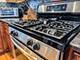 1703 S Ruble, Chicago, IL 60616