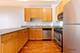 1464 S Michigan Unit 1108, Chicago, IL 60605
