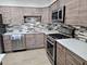 1441 E Thacker Unit 501, Des Plaines, IL 60016