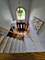22450 Autumn, Frankfort, IL 60423
