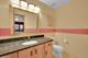 22450 Autumn, Frankfort, IL 60423