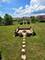 22450 Autumn, Frankfort, IL 60423