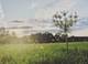 6102 E Hillside, Crystal Lake, IL 60012