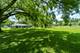2007 Edgewood, Woodstock, IL 60098