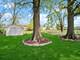 18 E 155th, South Holland, IL 60473