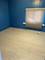 11745 S Wallace, Chicago, IL 60628