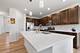 153 N Bend, Elgin, IL 60124