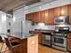 833 W 15th Unit 502, Chicago, IL 60608