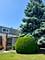 363 Vita Unit 363, Wheeling, IL 60090