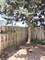 363 Vita Unit 363, Wheeling, IL 60090