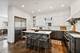 420 N Grove, Oak Park, IL 60302