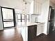 1122 N Clark Unit 2806, Chicago, IL 60610