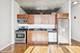 1720 S Michigan Unit 2515, Chicago, IL 60616