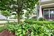 1645 Forestview, Antioch, IL 60002