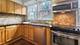 4241 N Richmond, Chicago, IL 60618