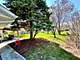 846 Springfield, Roselle, IL 60172