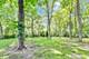 32362 N Pine, Grayslake, IL 60030